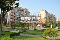 新城市花园