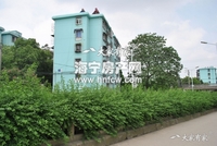 东立交桥