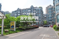 丁香花园