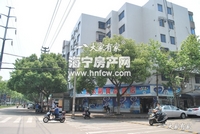 塘南东路