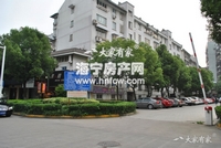 东白漾(新)