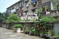 新华里(旧)