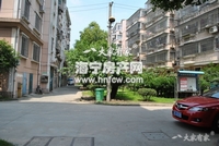 白漾花园