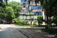 白漾里