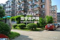 西南河(新)